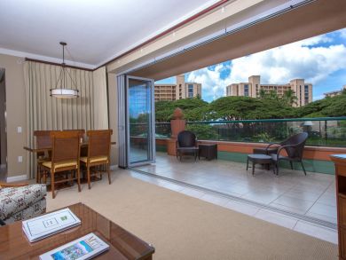 Kaanapali  Maui Condo 895909